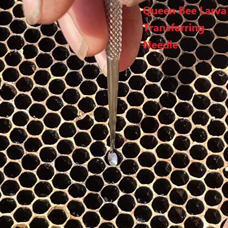 

10PCS Bee Queen Larva Transferring Needle Stainless Steel Beekeeping Move Worms Shift Pin Bee Larvae Worm Moving Grafting Needle
