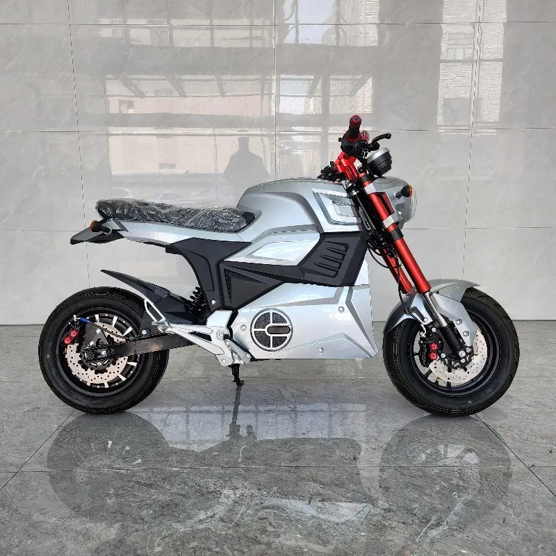 Custom Electric Motorcycle 2000W-5000W - usage example