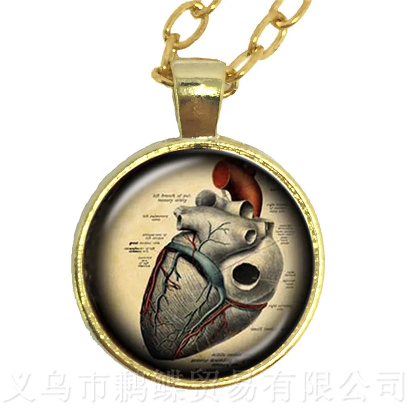 Human Anatomy Organ Necklace Glass Cabochon Science Medical Punk Brain Eye Jewelry Sweater chain Creative Gift