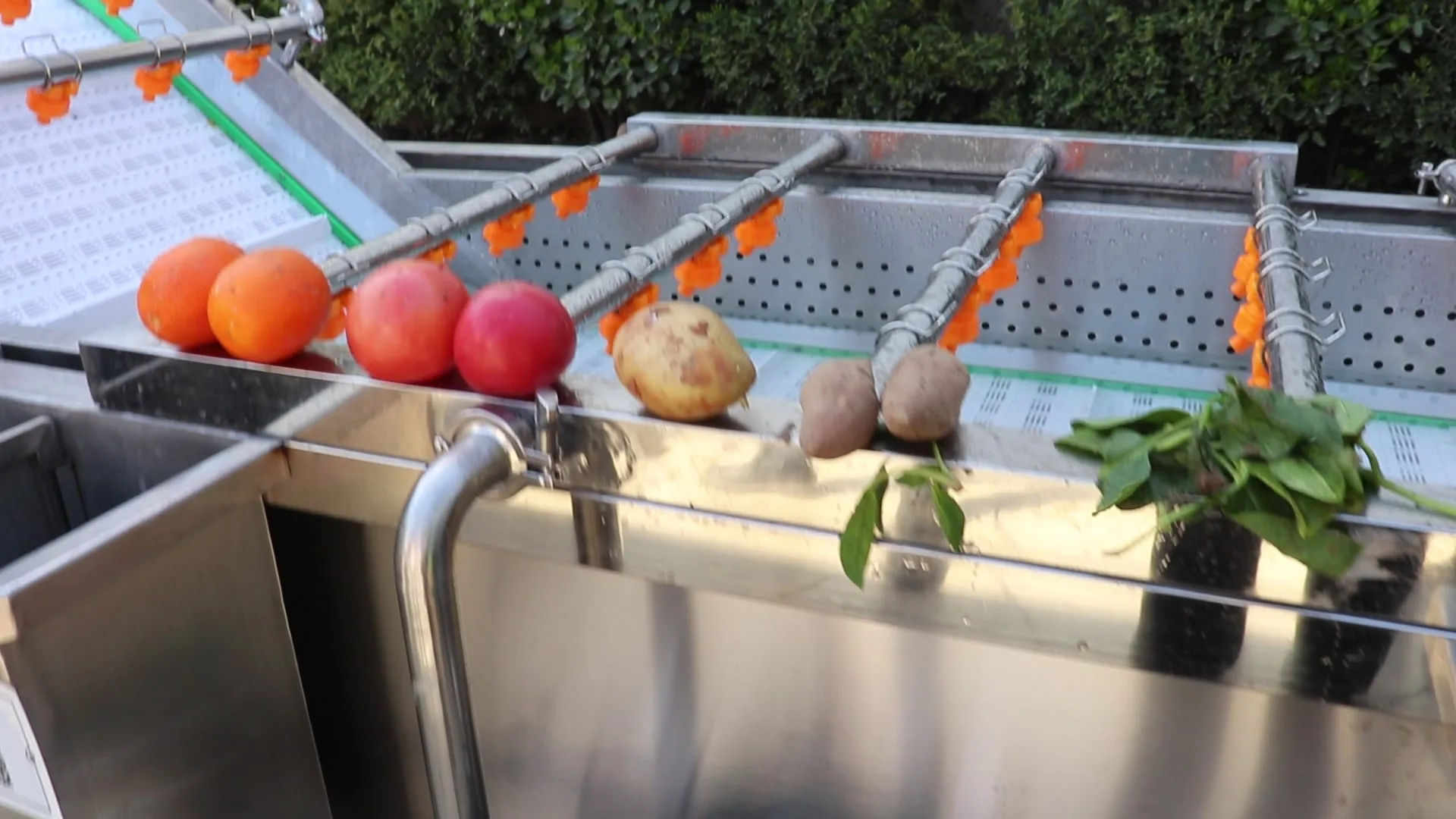 Sistema De Ozono Lavadora De Frutas Lavadora De Burbujas De Frutas Industrial