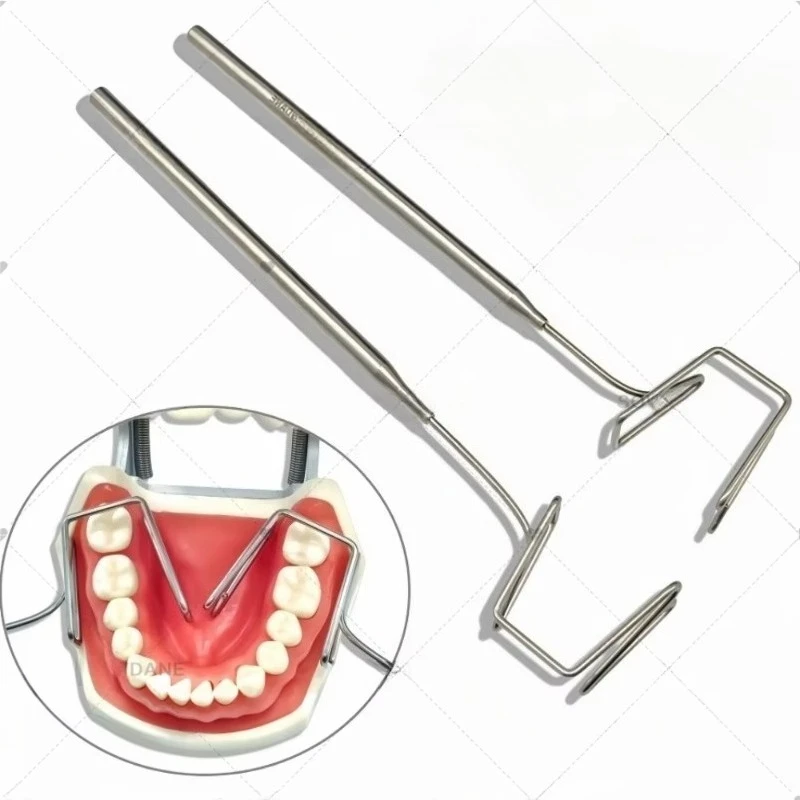 Labor-Edelstahl-Lingual-Separator, Zungenisolator, Lippen-Wangen-Isolator, Lippen-Wangen-Separator, Retraktoren, bestes Werkzeug. – Detail 2