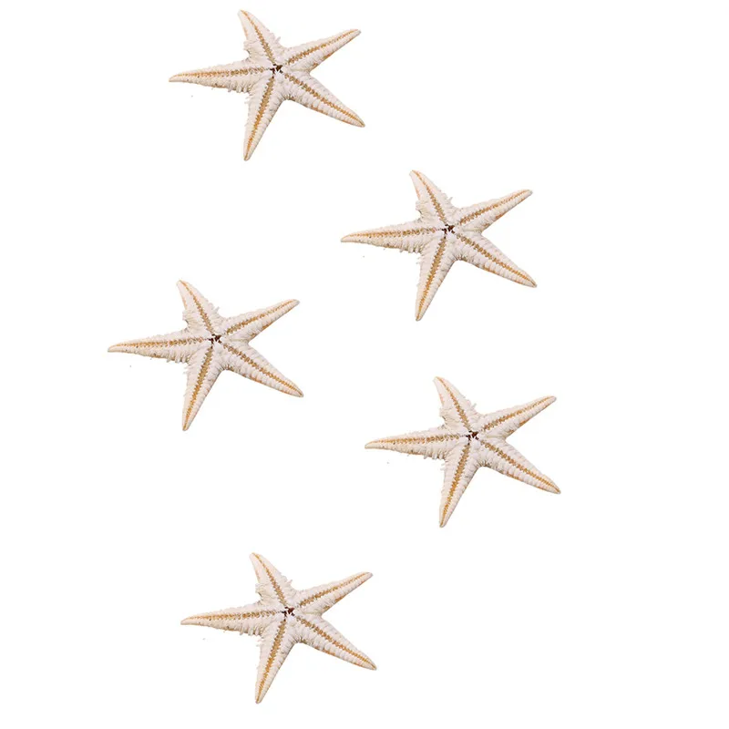 100 Pcs/pack New Simulation Natural Starfish Micro Landscape Decoration Hanging Photo Frames Candles Handicrafts Home Accessory