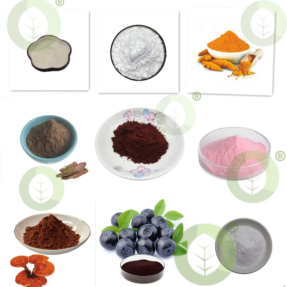 DMAE Powder, DL-Dimethylaminoethanol Bitartrate ,Skin Care, Anti Aging Wrinkle,Raw Materials