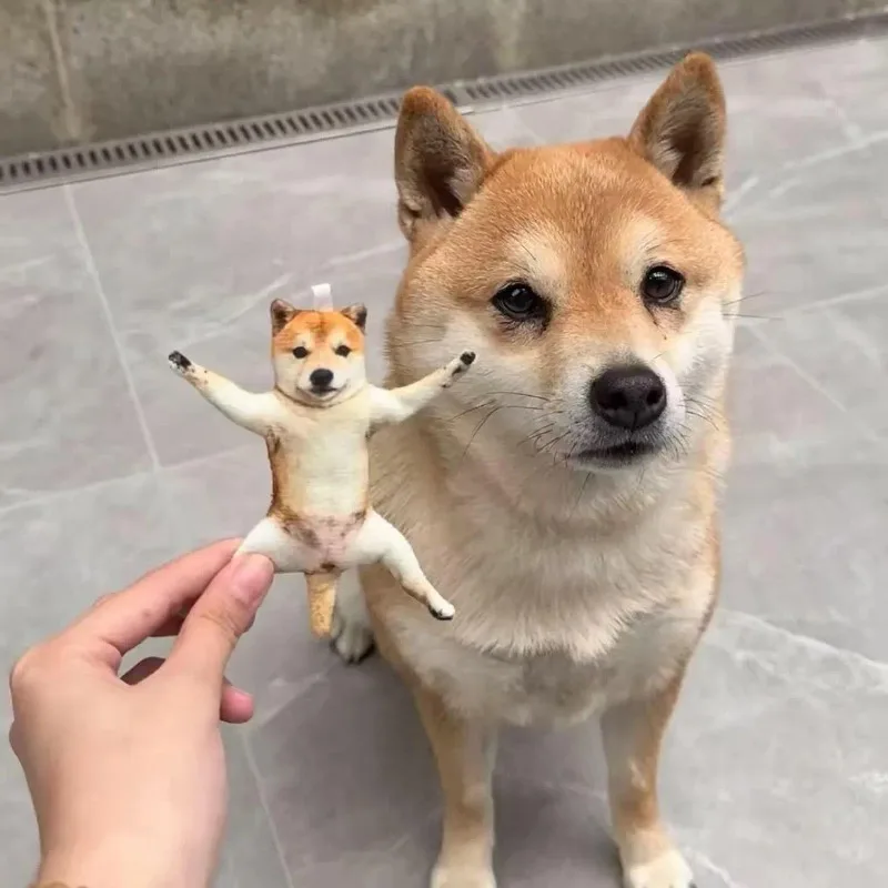Custom body Photo Keychain ,Custom Mini Me Figurine ,Personalized Full-Body Doll, Unique Handmade Gift for Pet lover fot him her