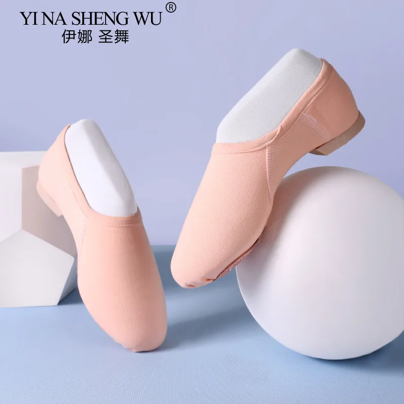 여성 발레 댄스 신발 탄성 직물 부드러운 밑창 실내 훈련 신발 성인 재즈 댄스 발레 클래식 댄스 연습 신발