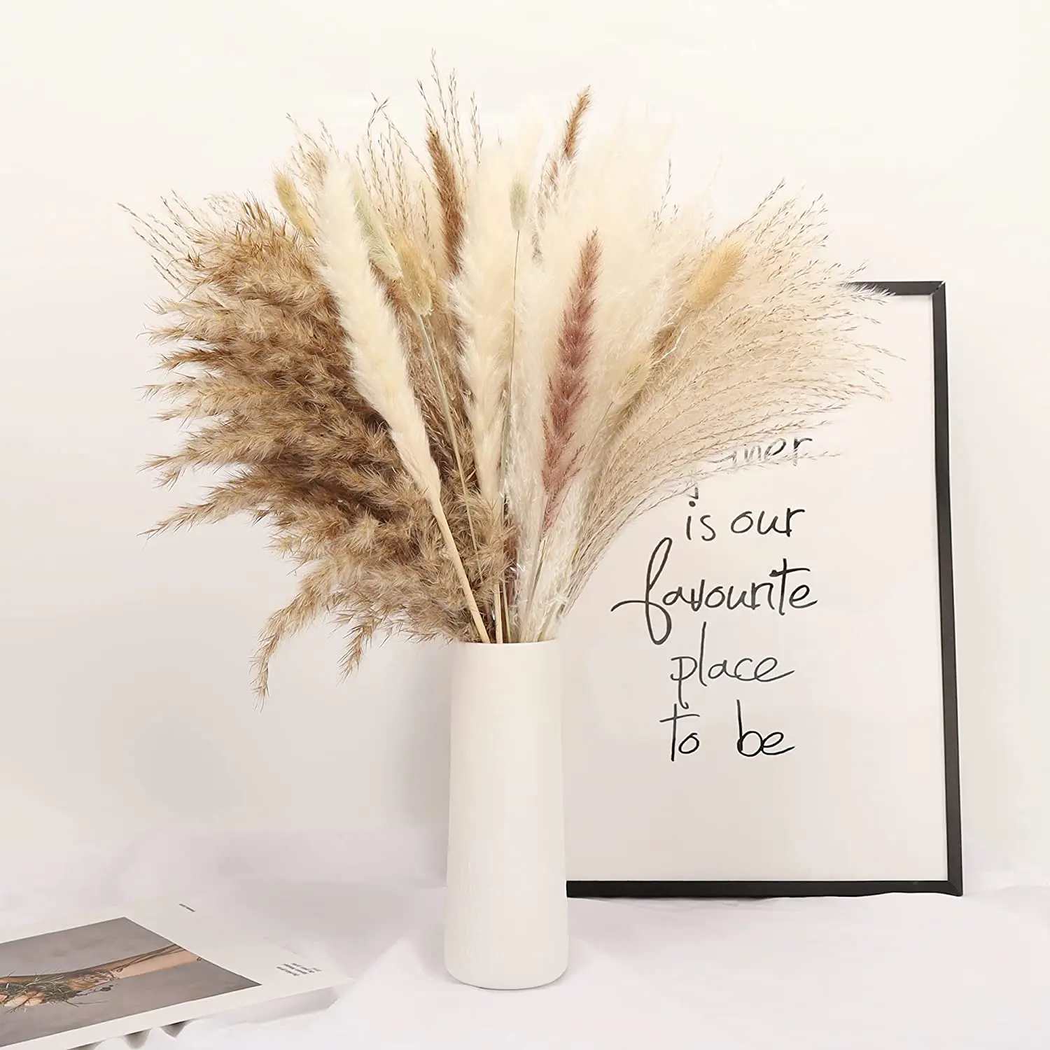 Natural Dried Pampas Grass Decor Fluffy Plume White Black Small Reed Lagurus For Wedding Home Room Decoration Rabbit Tail Flower