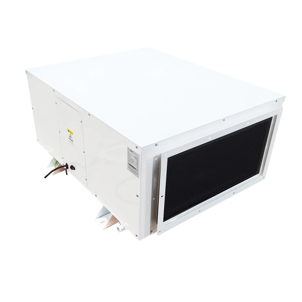 

240 Liters/Day Ceiling Mounted Dehumidifier Workshop Factory Electronics Room Pharma Use 220V