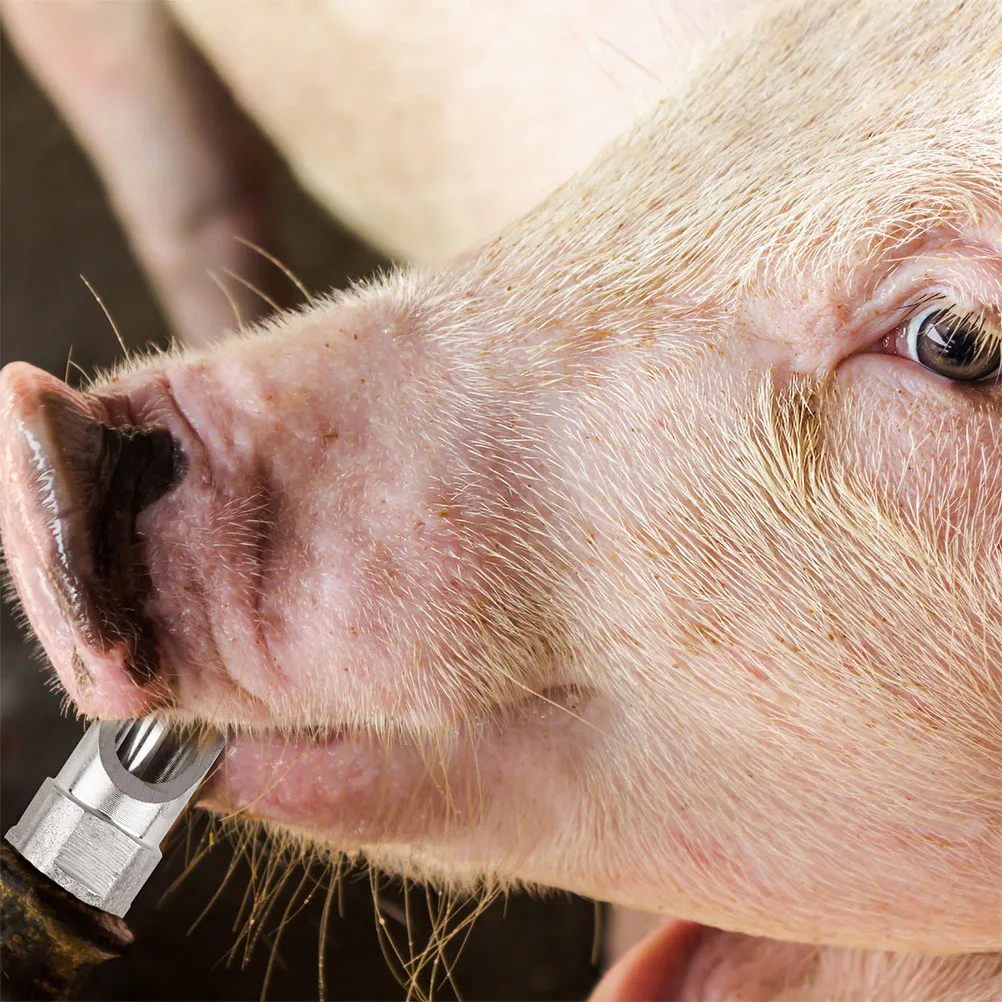

Automatic Pig Waterer Nozzle Stainless Steel Durable Farming Tools Pigs Feeding Equipment Livestock Drinkers Self Cleaning
