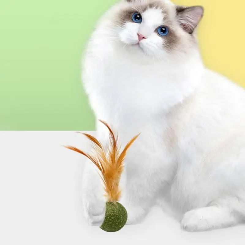 Cat Toys Catnip Kitten Catnip Feather Ball Interactive Natural Lollipop Natural Cat Kicker Feathers Design Cat Teeth Cleaning