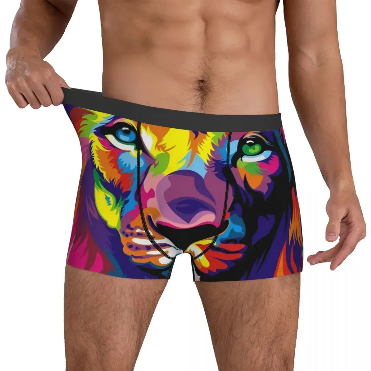 Boxer Unterhose Shorts Banksy Regenbogen Löwe Höschen Männer atmungsaktive Unterwäsche für Homme Mann Freund Geschenk