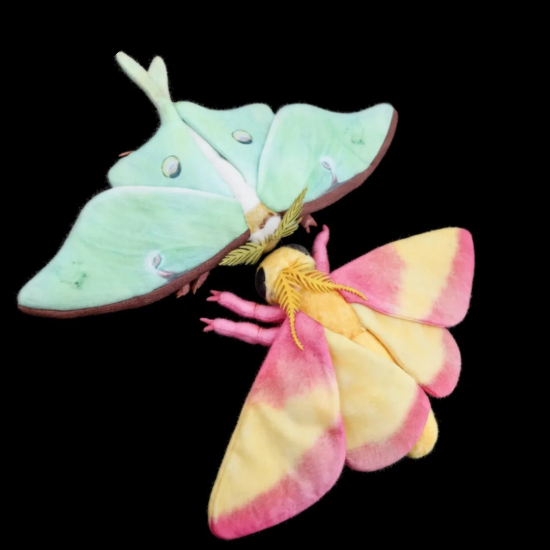 Beautiful Insect Plush Toys Rosy Maple Moth Plush and Luna Moth Plush Birthday Gift for Insect Enthusiast Kids Moth Toys