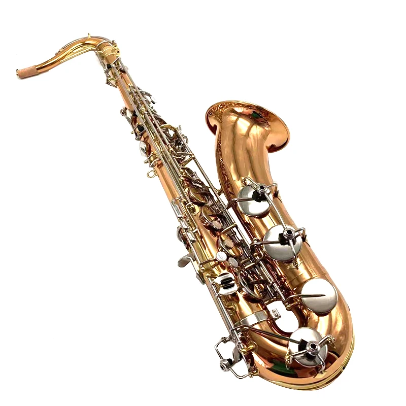 Eb Tone Alto Saxophone Professional Easy Playing Popular Model Wind Instrument for Beginner Practice Examination Performance