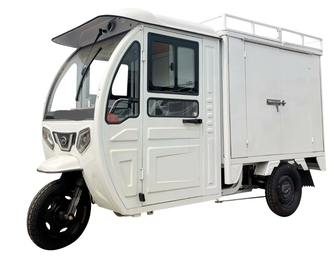 EEC COC Closed Electric Tricycle E Trike with Closed Cabin and Rear Box