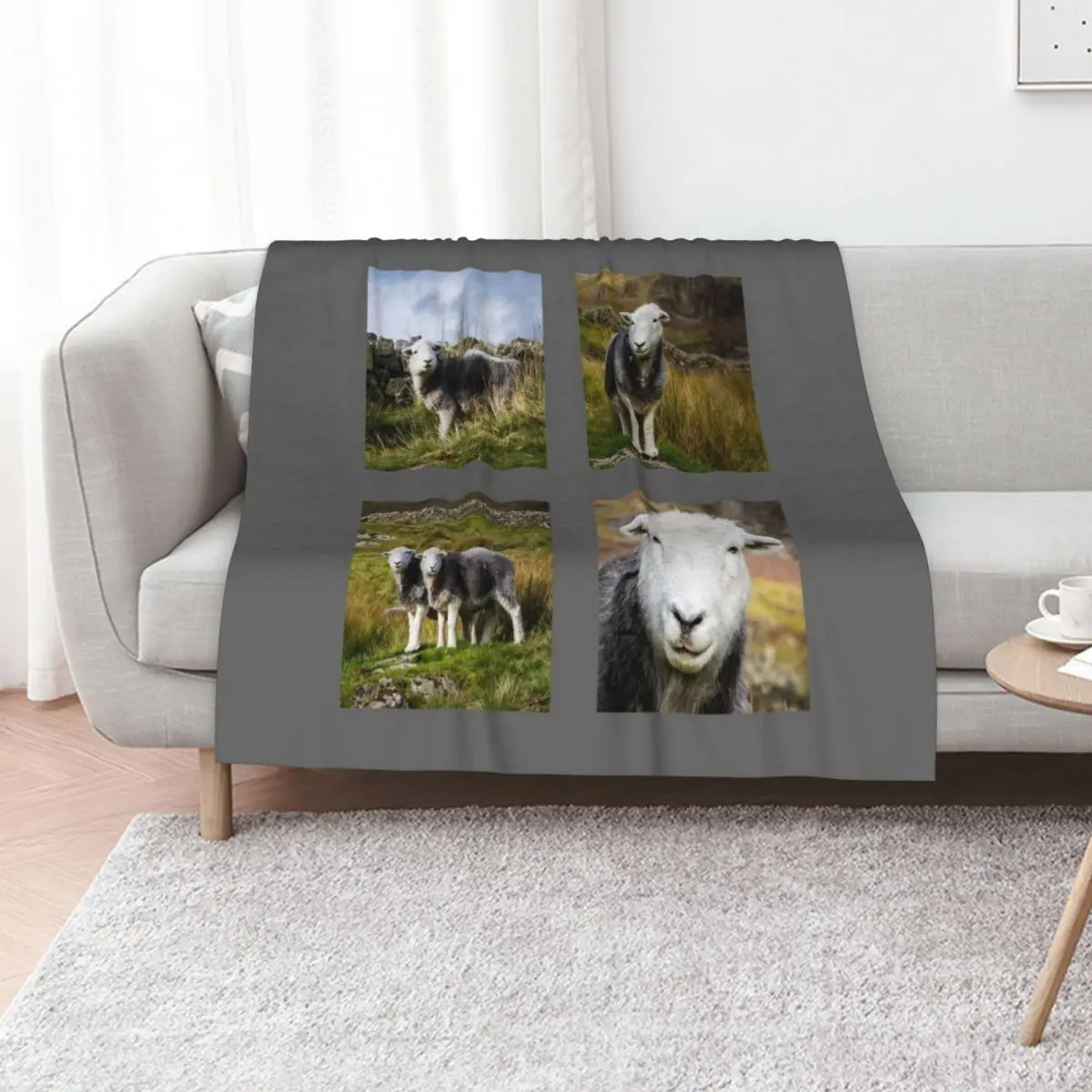 Herdwick Sheep Collection Throw Blanket Furrys wednesday Vintage Decorative Throw Soft Plaid Luxury Blankets