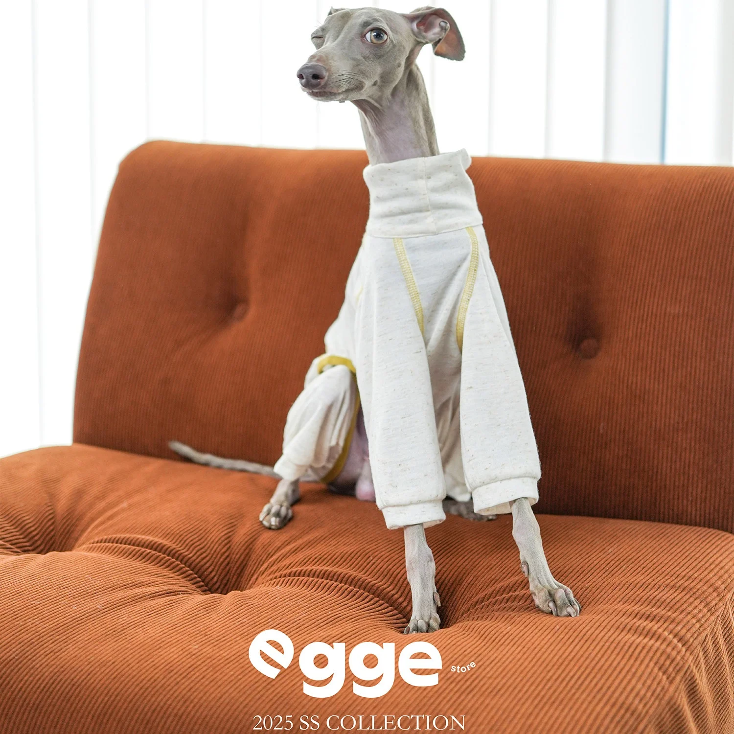 

Spring Summer Lightweight Sensitive Skin Protective T-Shirt for Italian Greyhoung Air-Condition Home Wear Jumpsuit for Whippet