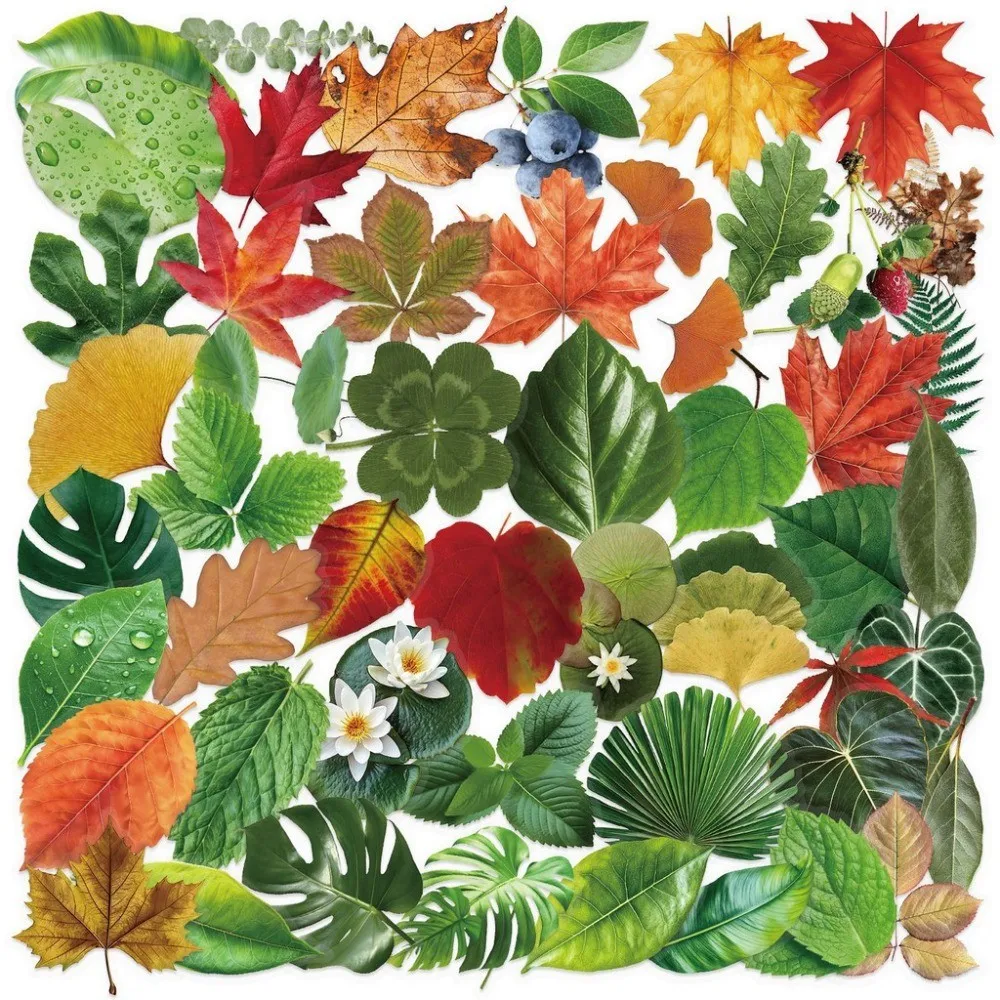 50PCS Transparent INS Style Leaf Sticker Pack - Waterproof PET for Scrapbooking, Guitar Notebook Decor LanLanStickersWorld Store