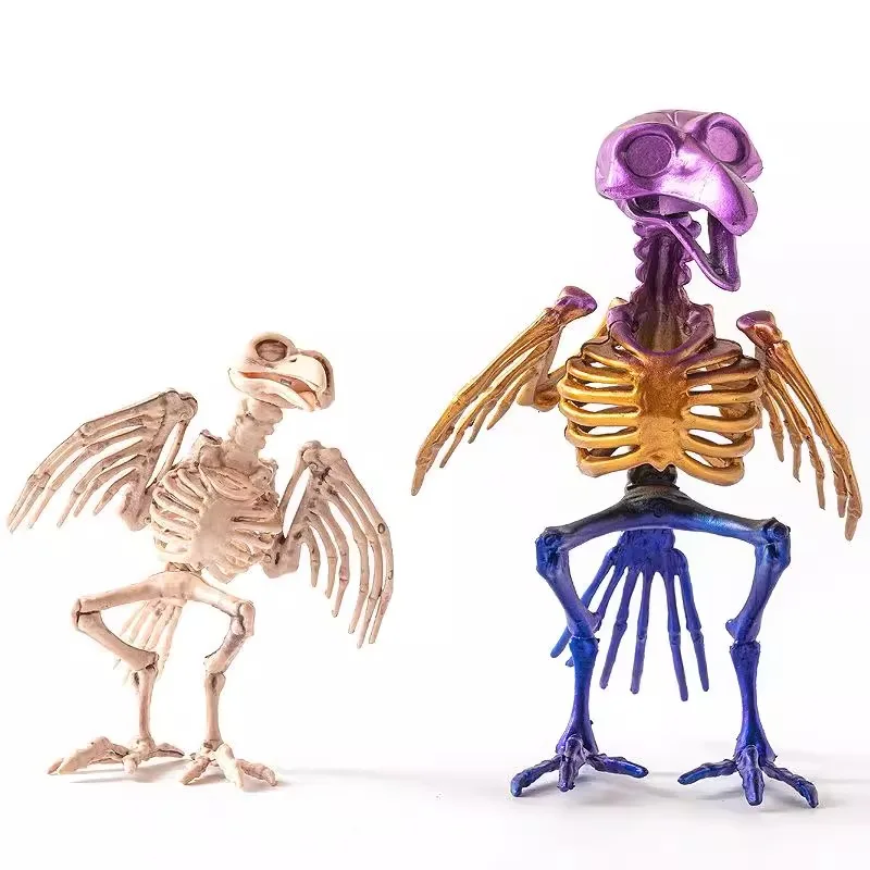 Skull Skeleton Hall…