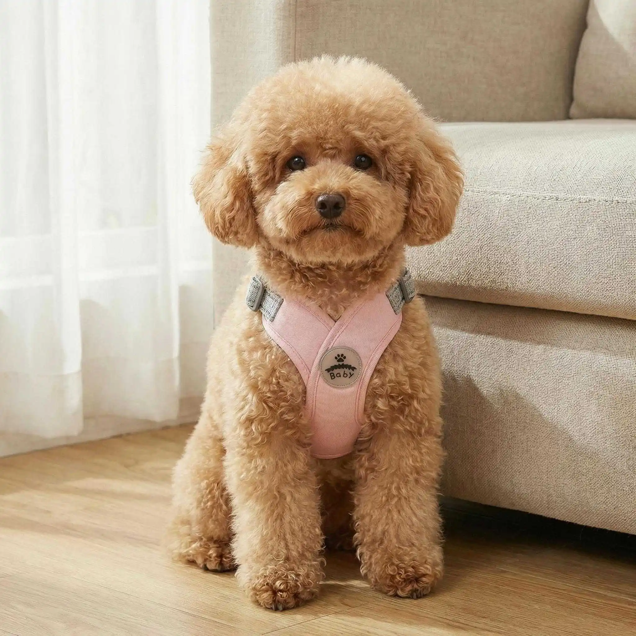 Hundegeschirr und Leine Set für Kleine und Mittelgroße Hunde Outdoor-Spaziergänge Verstellbares Reflektierendes X-förmiges Geschirr Welpen-Haustierzubehör – Detail 3