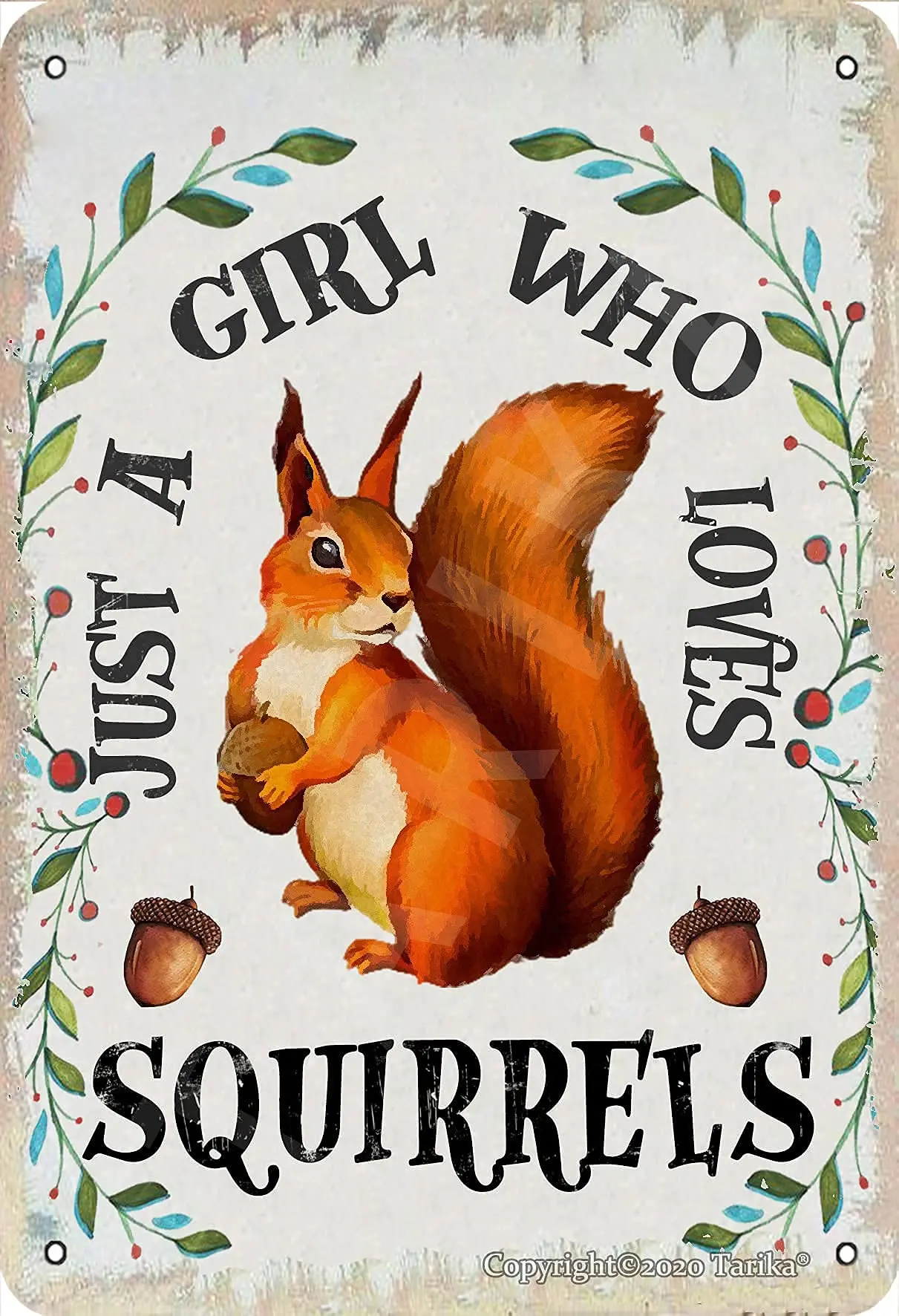 BIGYAK OSONA Just A Girl Who Loves Squirrels Iron 8X12 Inch Retro Look Decoration Art Sign for Home Kitchen Bathroom Farm Garden