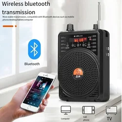 48W Wired 2.4G Wireless Voice Amplifier Portable Teaching Lecture Guide Promotion U-Disk Amplifier Microphone Bluetooth Speaker