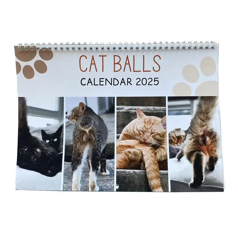 Imagem -02 - Gato Butthole Calendário para Notas Engraçado Gato Bolas Calendário 12 Calendário Mês 25x19.5cm 2025