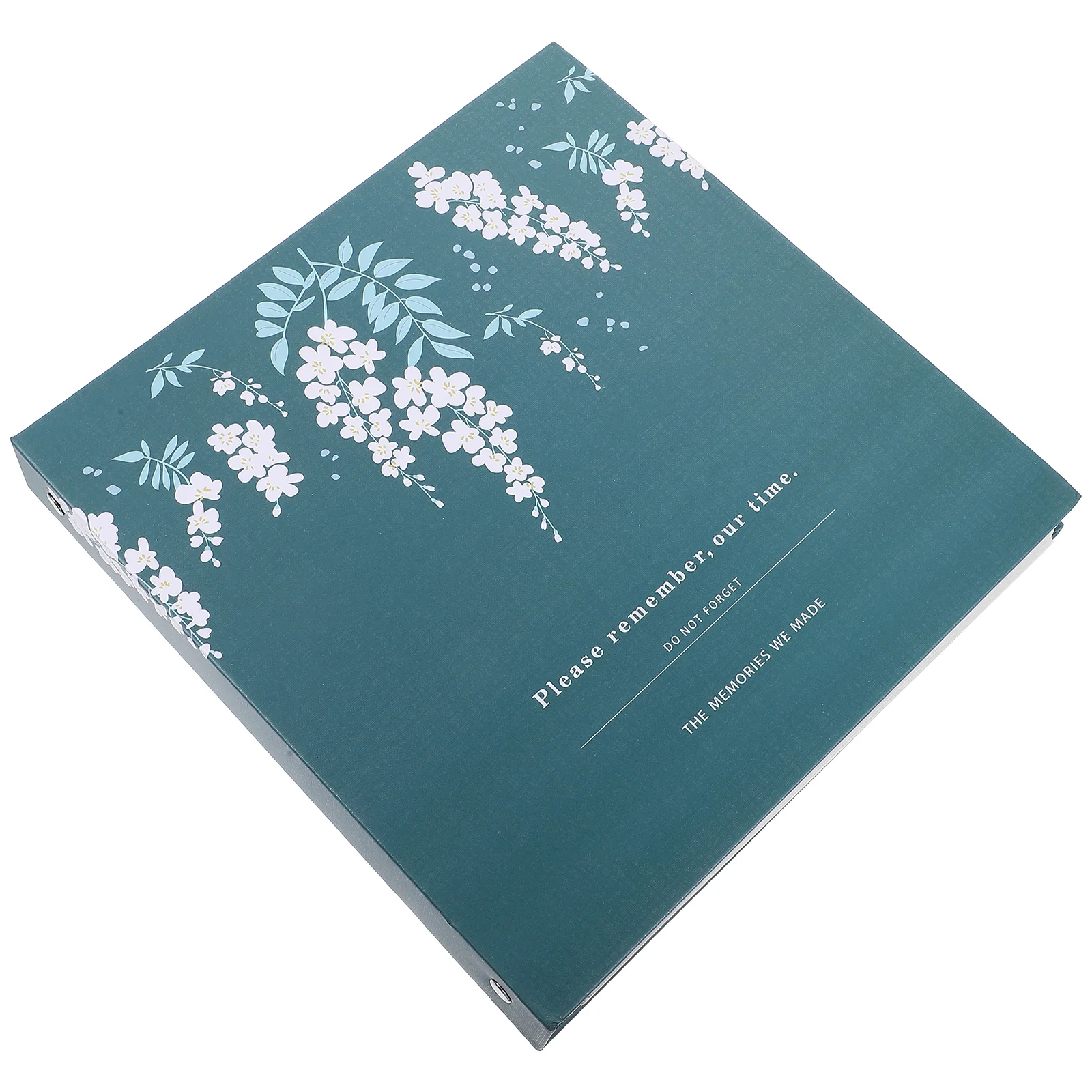 스크랩북 거치대 사진 앨범, 나뭇잎 말린 꽃 보관, 여행 가방 컬렉션