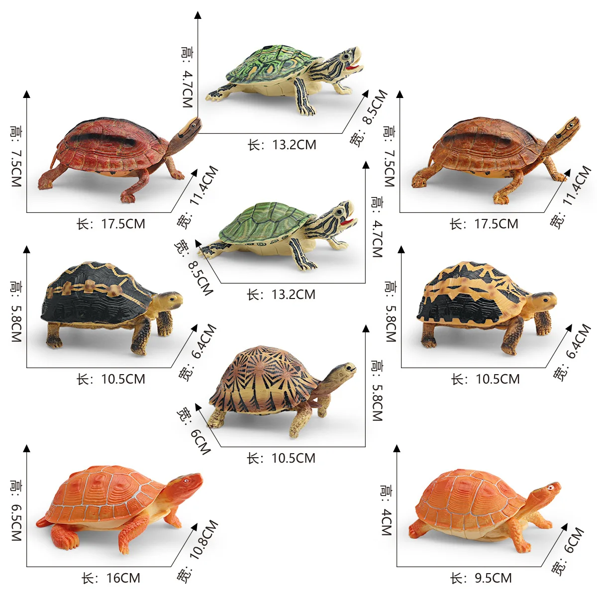 Cross-border simulation wildlife turtle model children's cognitive toy Brazilian turtle spider web land turtle golden coin turtl