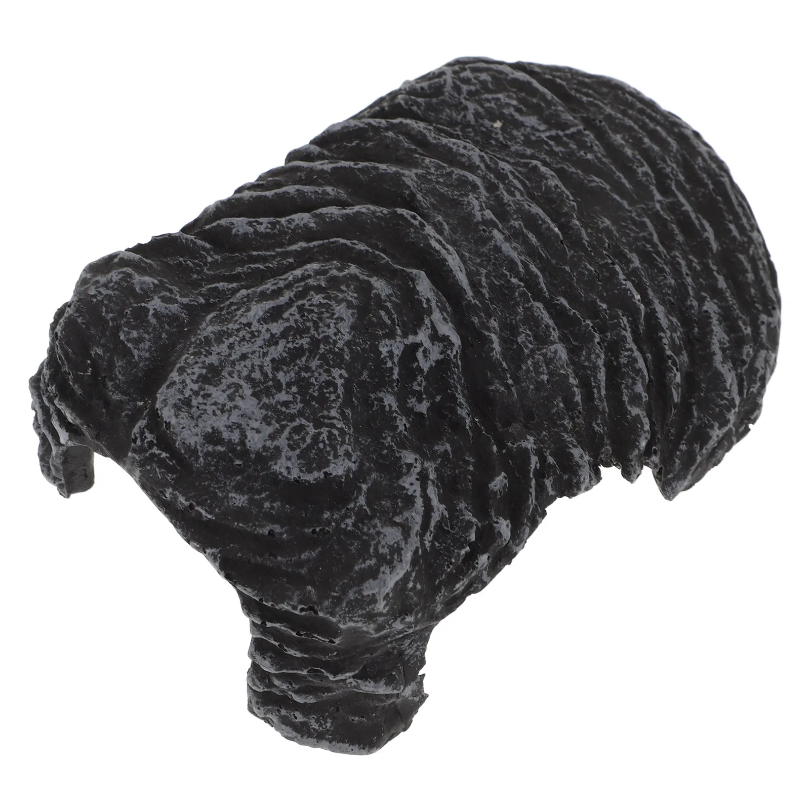 

Turtle Basking Platform 14x9x4 Resin Climbing Fish Tank Decor Reptile Supplies Extra Large Terrarium Pet Accessories