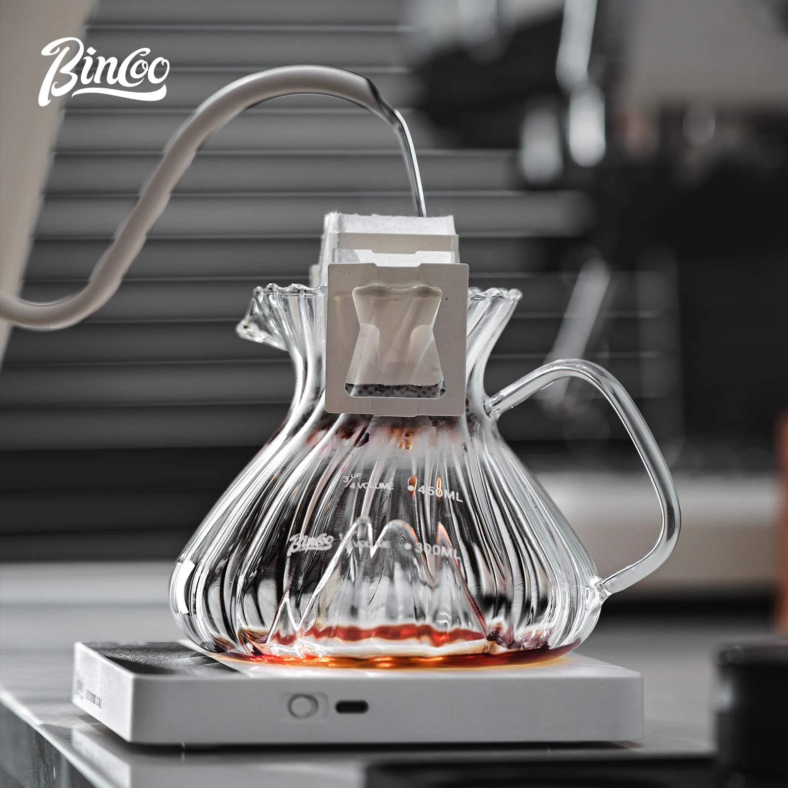Bincoo Home Glass Coffee Server Pour Over Carafe Hand Drip Brewing Jug Clear Borosilicate Heatproof Coffee Making Tool