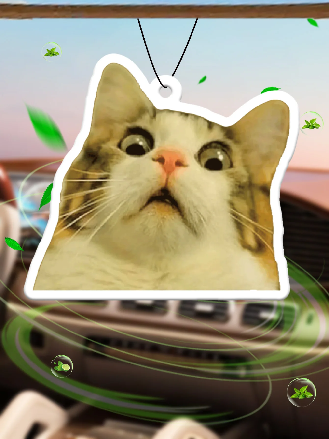 Surprised Shocked Cat Meme Car - Perfume And Fragrance Are Same review and price