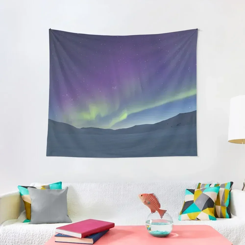 purple mixed with green northern lights mixed with the stars Tapestry Wall Coverings Room Decorations Aesthetics Tapestry