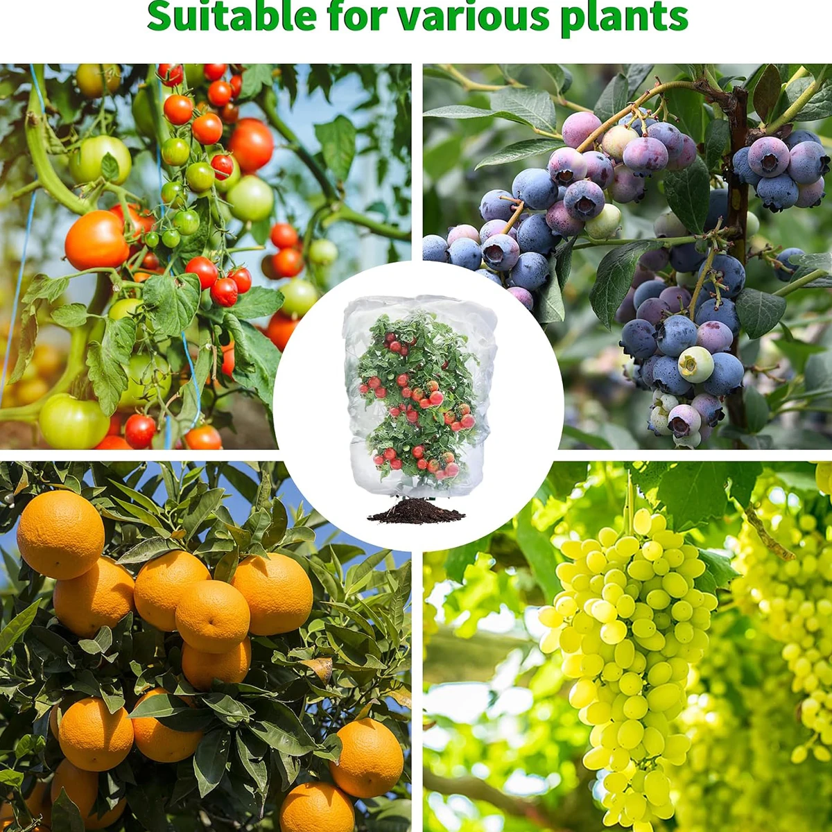 Strapazierfähiges, atmungsaktives Feinmaschennetz zum Schutz von Pflanzen, Tomatenständer-Abdeckung, Vogelschutznetz, Insektenschutz für Gartenpflanzen und Obst. – Detail 5