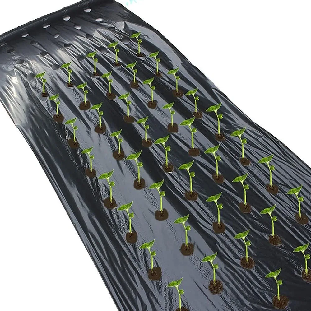 Agriculture Mulch, Pre-Punched 5-Hole Plastic Film, Greenhouse Weeds Control Mylar Strawberry Vegetable Planting Tools 0.95x10m
