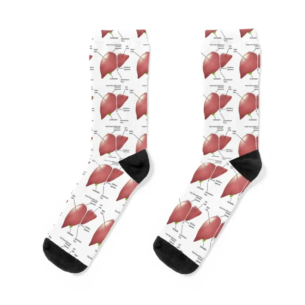 

Front View of the Liver human liver anatomy poster educational biology poster Socks compression gym Novelties Ladies Socks Men's