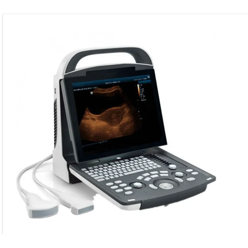 

September promotion veterinary Ultrasonic Diagnostic Imaging System Ultrasound Scanner Digital Ultrasound DP-10Vet