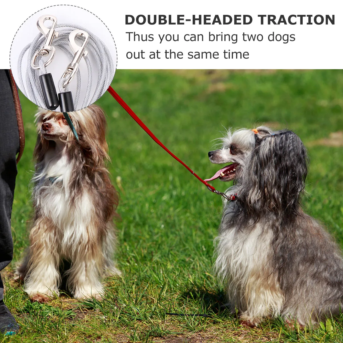 

Anti bite Dog Chain 5m Steel Wire Pet H Leash Thickened Aluminum Sleeves Tear Resistant Outdoor Training Supplies