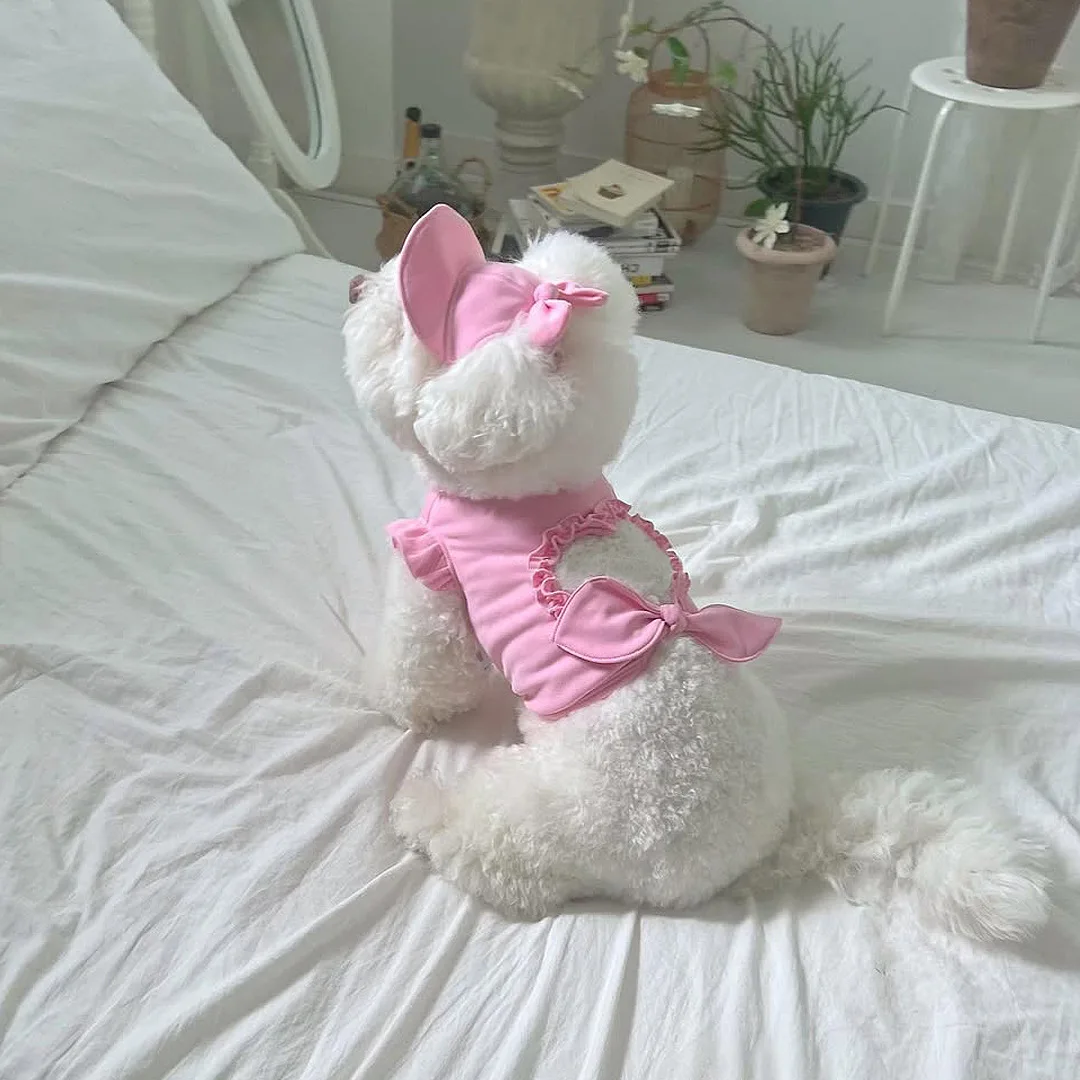 Pet Spring Hollow Heart Vest Cute Sun Hat Small Medium-sized Cat Dog Top Denim T-shirt Vest Hat Puppy Clothes
