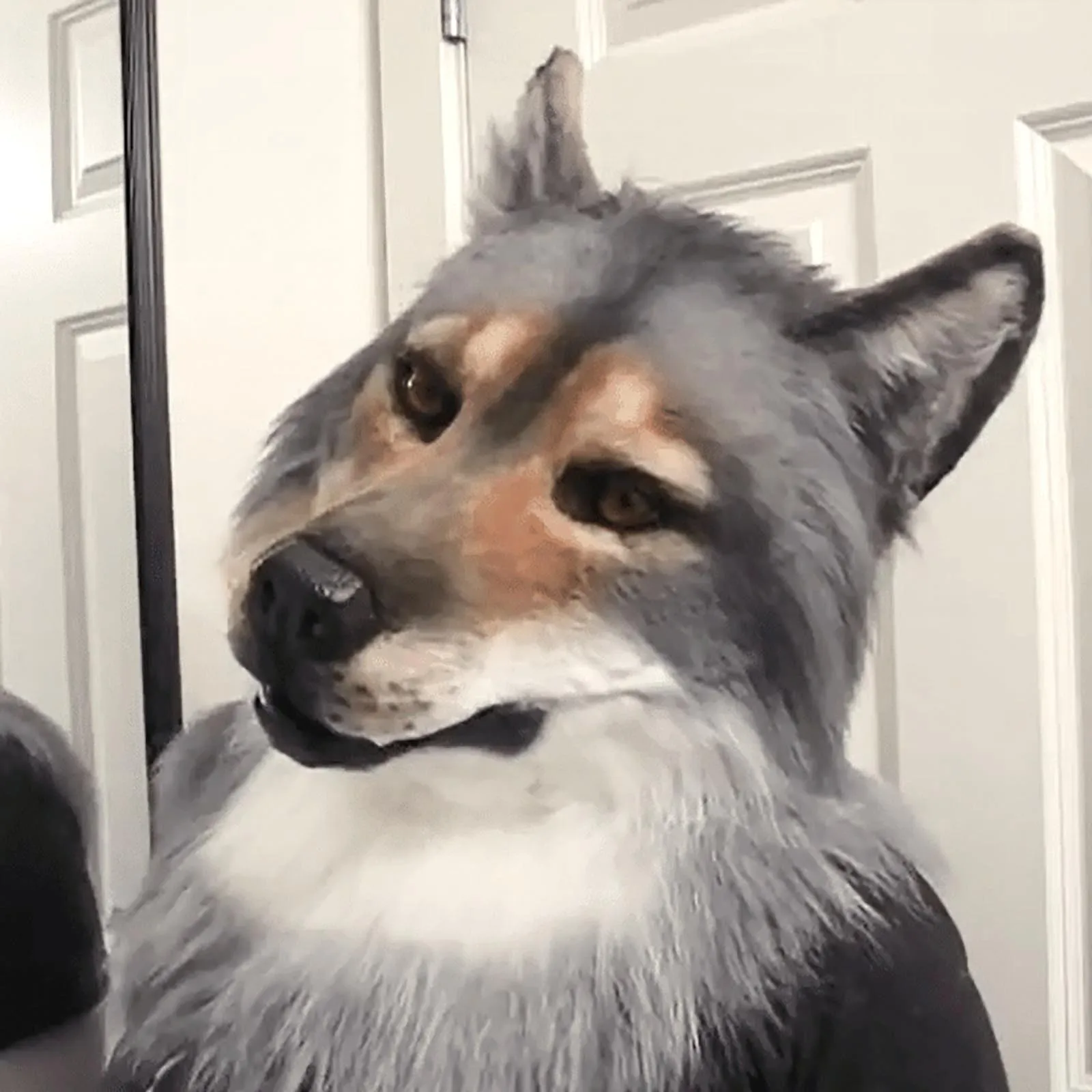 New Faux Fur Wolf Animal Realistic Full Head Mask Party Interactive Game Entertainment Props Role Playing Costume Accessories