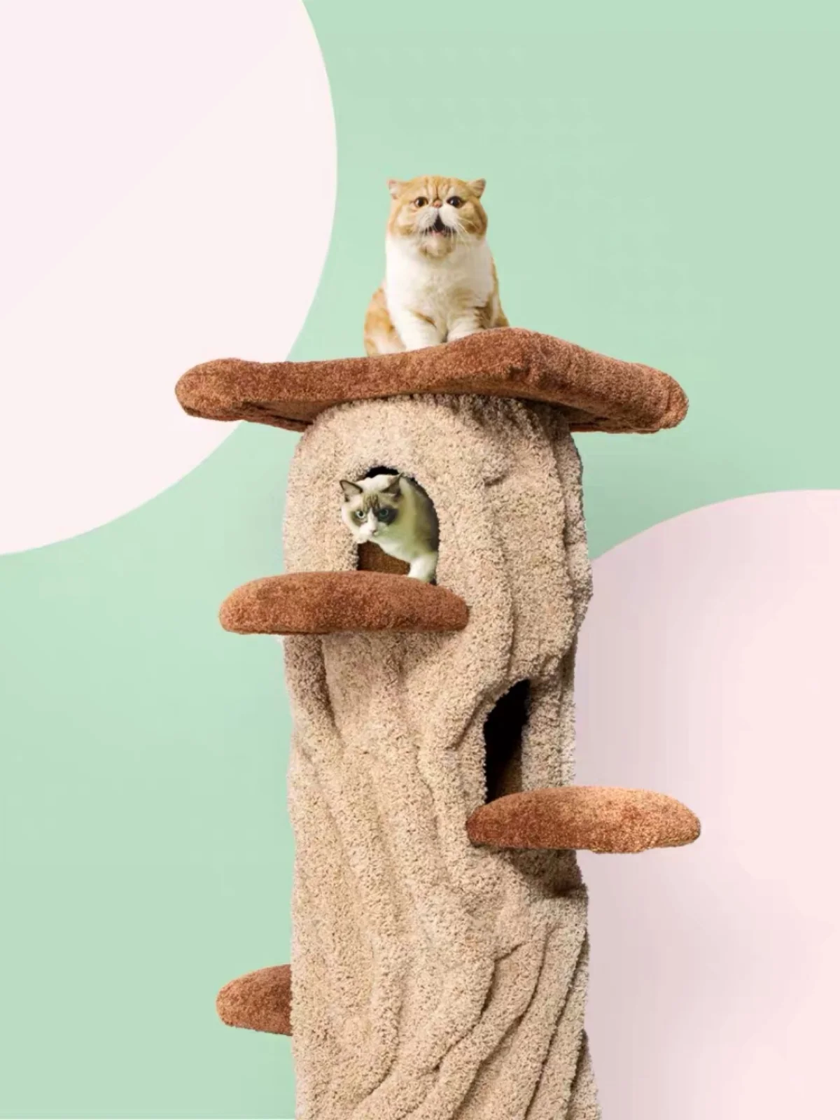 Tree hole climbing frame, tree house, tree pier, nest, jumping platform, multiple cats available, not occupying land