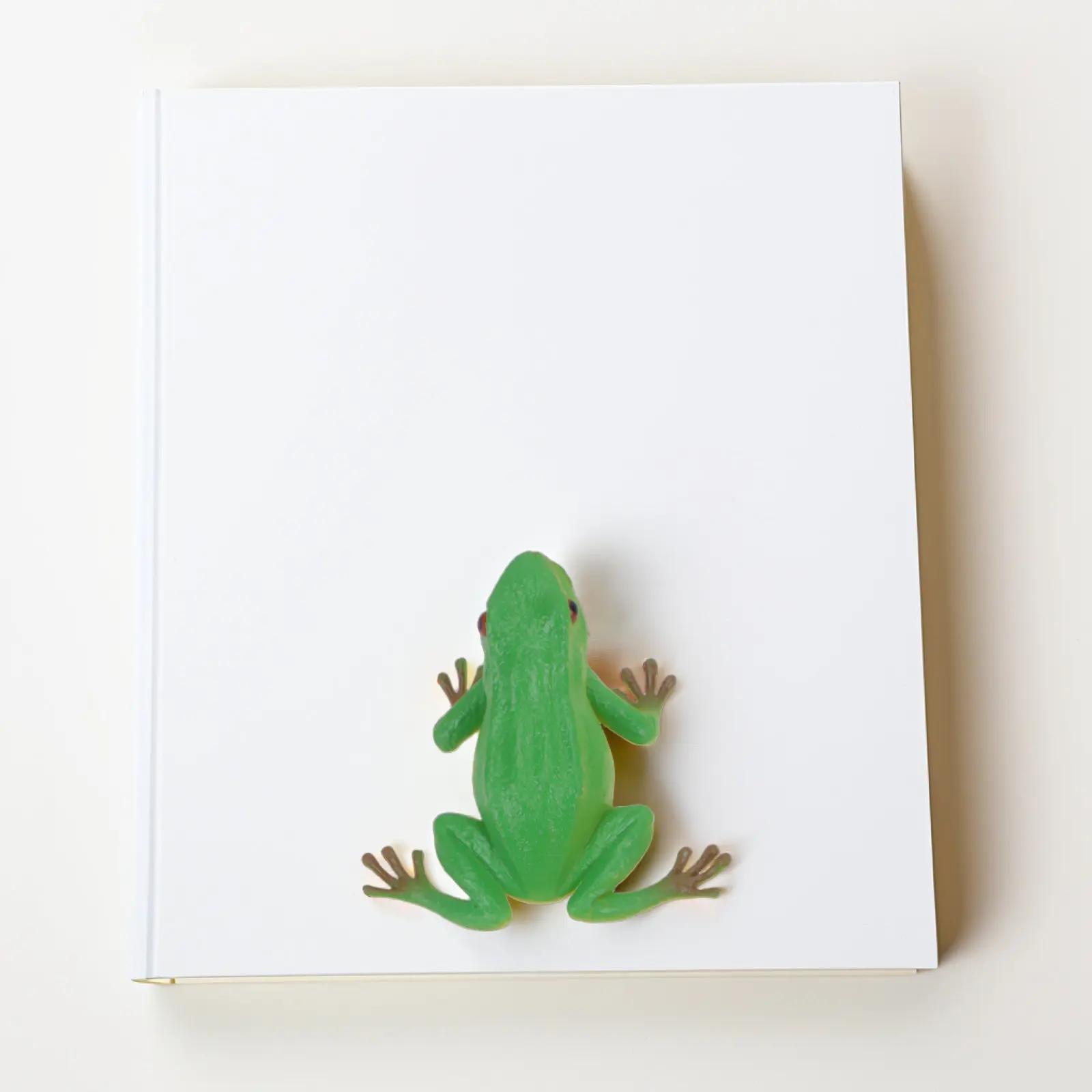 

4Pcs Sounding Frog Squeeze Prank Props Safe Plastic Party Fun Lifelike Noise for Kids Adults Warm Atmosphere Toy