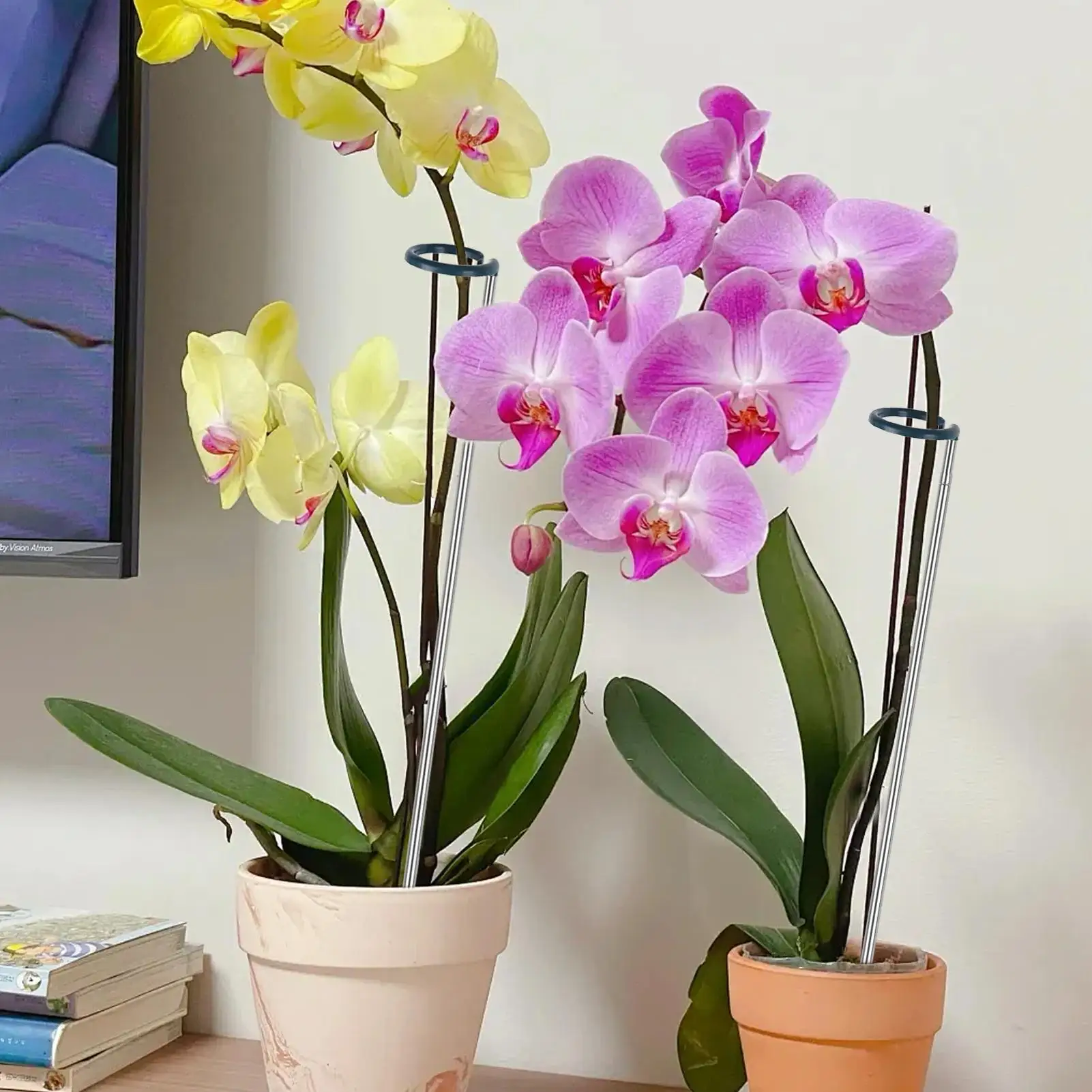 

Plant Stakes Adjustable Length Monstera Plant Support 4 Pieces Weather Resistant Indoor Outdoor Gardening Accessories for