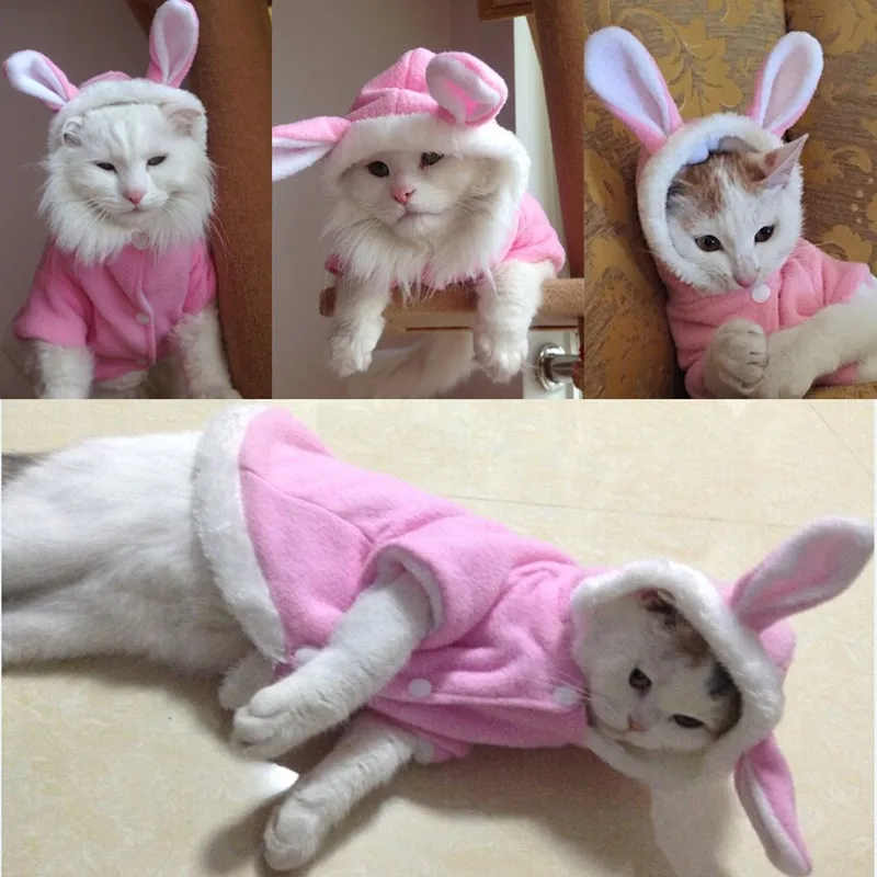 Pet Cat Clothes Mascotas Costume Clothes For Pet Hoodies Cute Rabbit Cat Clothing Puppy Fleece Warm Pet Cat Jacket Outfit 35 A1