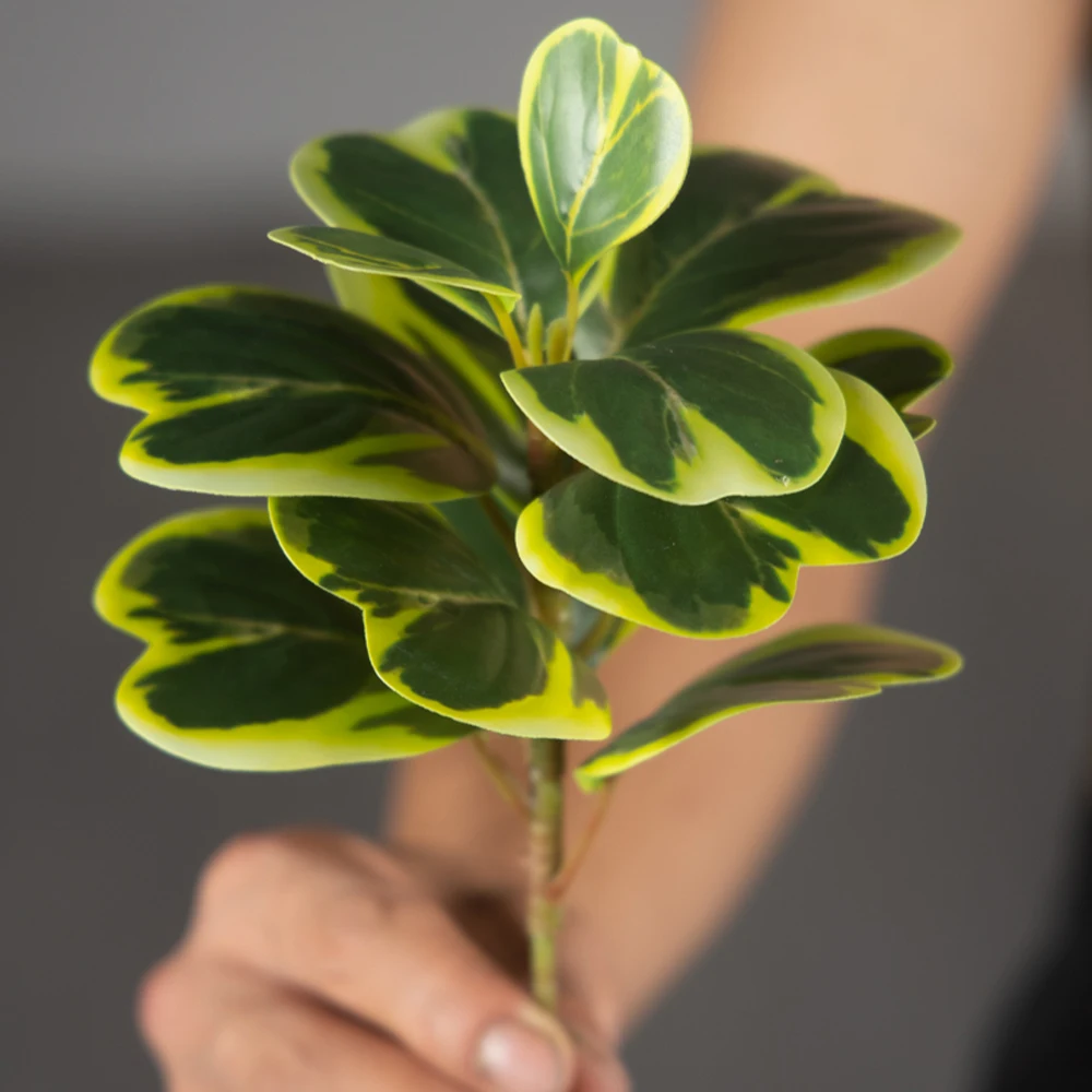 20–37 cm künstlicher Herzblatt-Ficus-Baum, gefälschte Banyan-Baumblätter, Kunststoff-Gummi-Zweig für Zuhause, Büro, Balkon, Garten, Dekoration – Detail 14