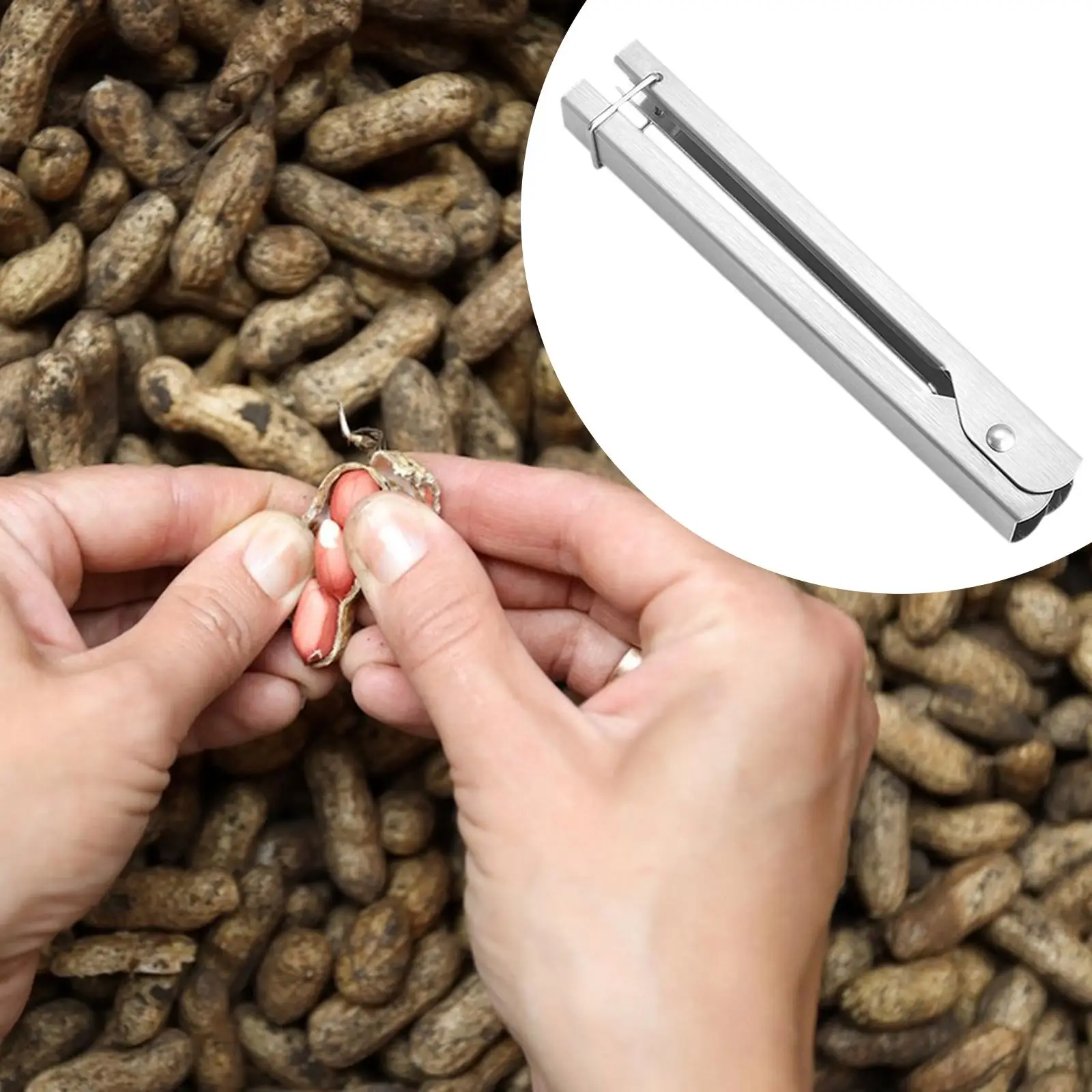Peanut Sheller Stainless Steel Kitchen Utensils,Efficient,Ergonomic Nut Cracker Peanut for Kitchen Home Dining Room