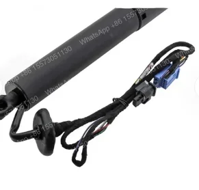 A1178900130 A1179800564 Rear Trunk Power Tailgate Strut Fits