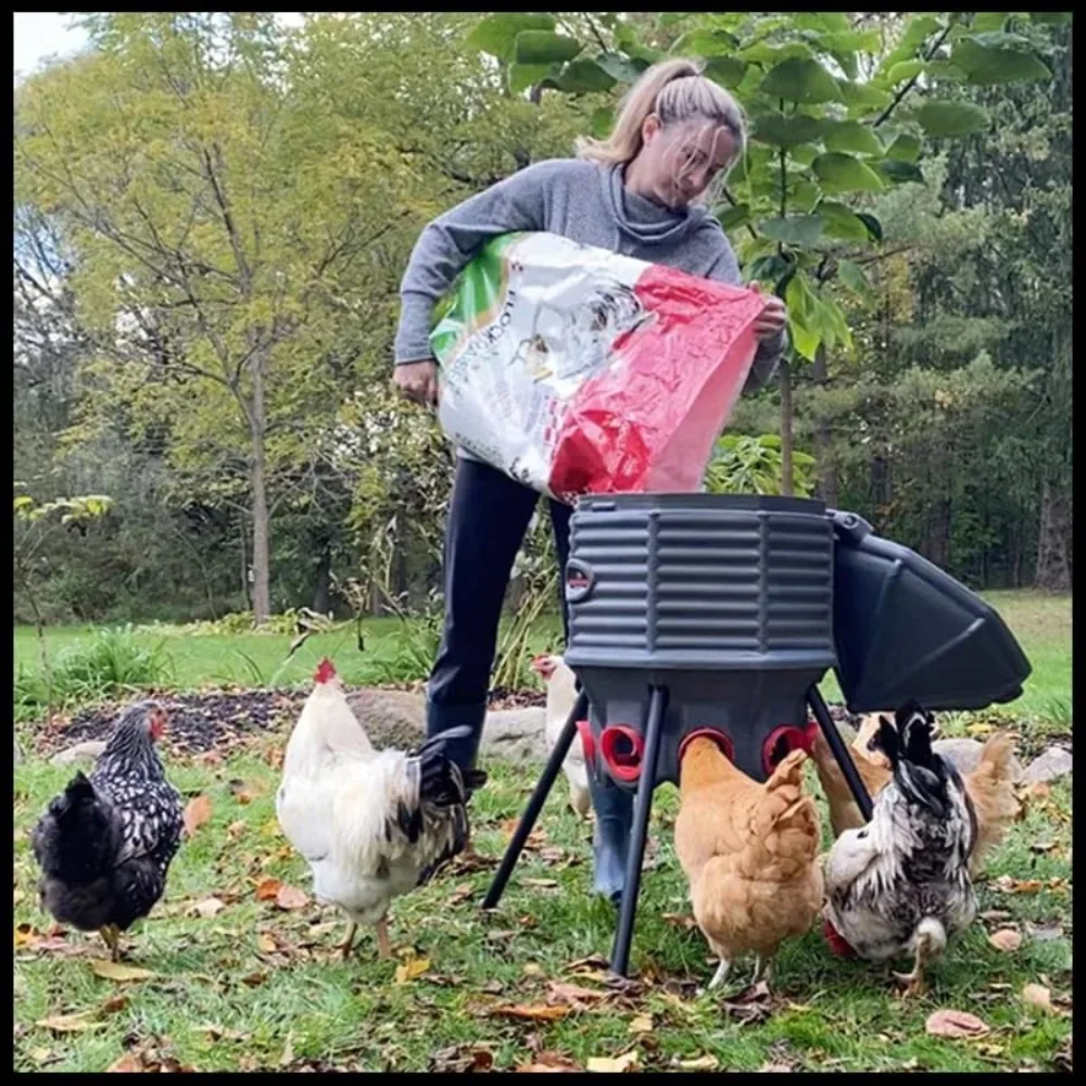 Gevogeltevoeder 80 lb Capaciteit Verstelbare hoogte UV Stabiel Weerbestendig 8 voedingspoorten Silo-vorm Roestbestendig voor kippen