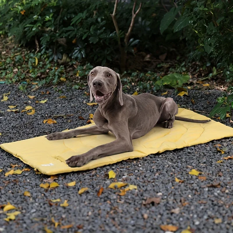 1PC Portable And Foldable Dog Blanket, Waterproof Easy To Clean Dog Cage Pad, Floor Mat, Sleeping Bed For Indoor Outdoor Camping