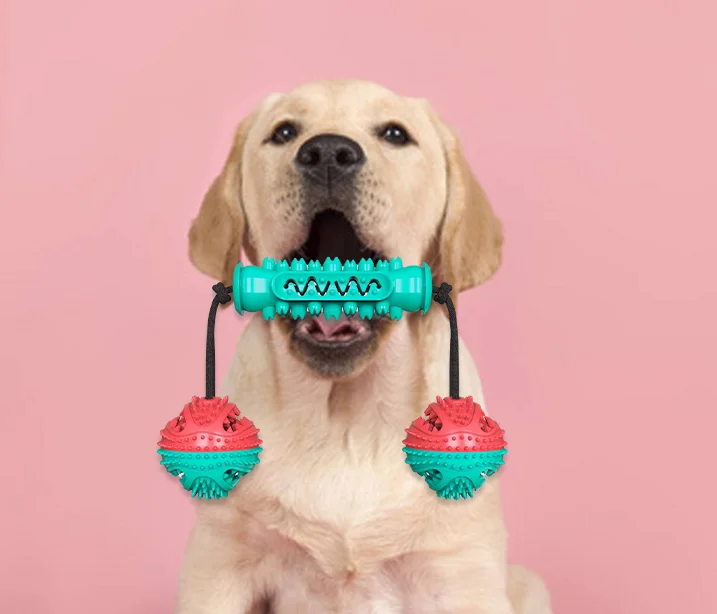 

Hot Sale Customized Funny Food Leak Dog Grinder Sticks Interactive Game Chew Toys Outdoor Training