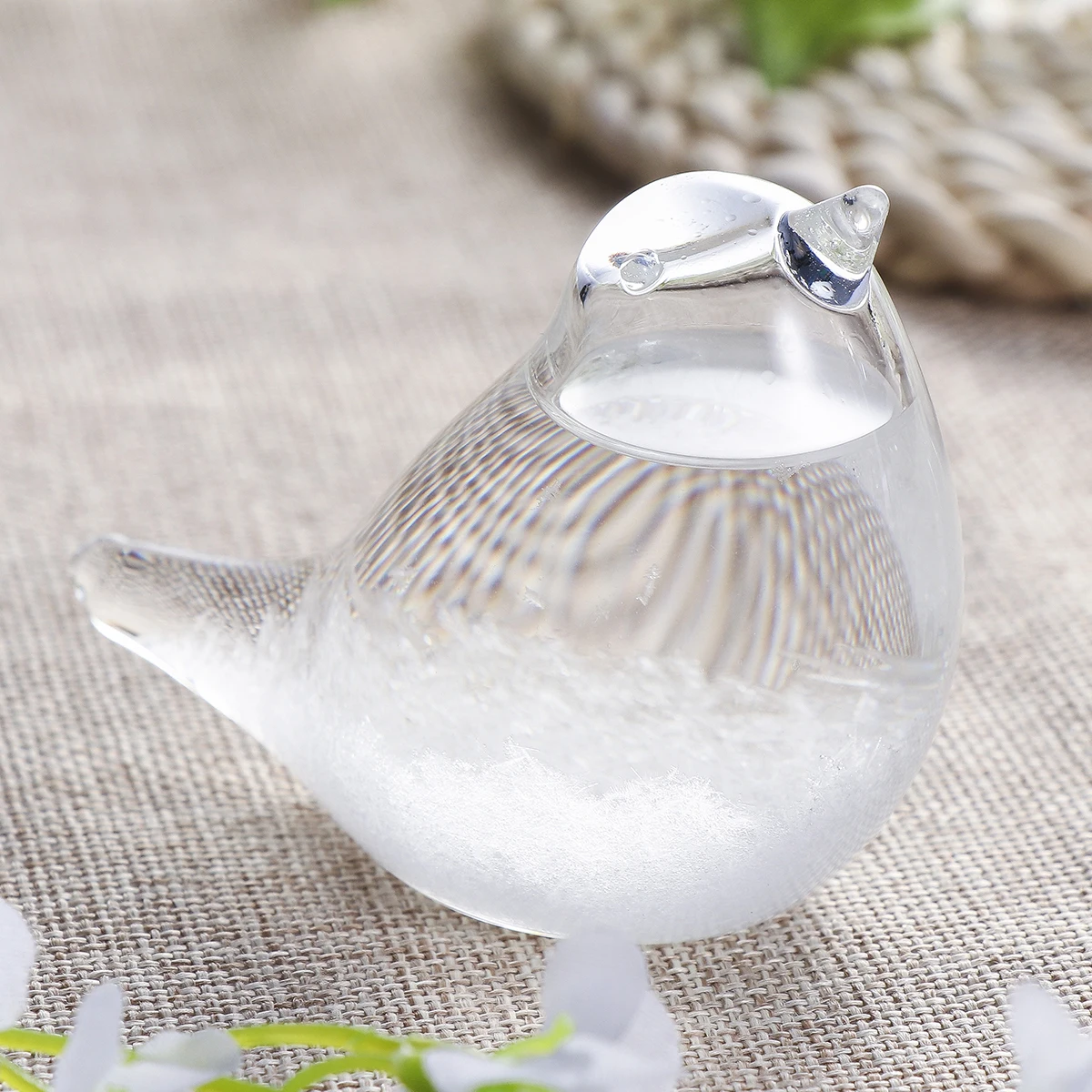 

Bird Decor 6.7x4.2x5.5cm Transparent High Borosilicate Storm Glass Weather Bottle Tabletop nament Home Office Gift Barometer