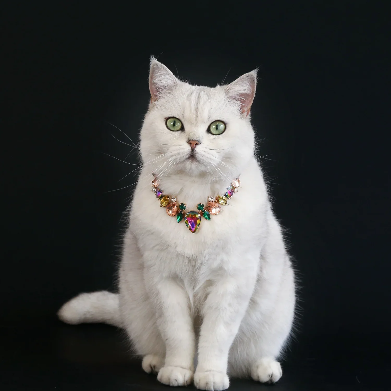 Pet Dog Wedding Pearls Collar Jeweled Cat Collar Studded Glinting Rhinestones Wedding Necklace Costume  Accessories Photo Props